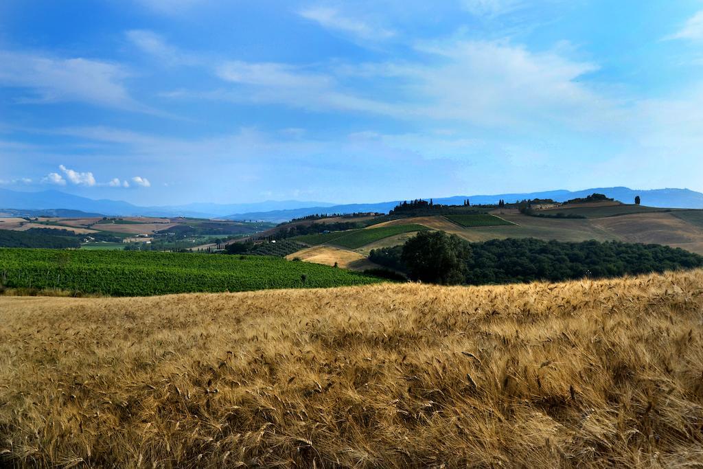La Canonica San Giovanni dʼAsso 外观 照片
